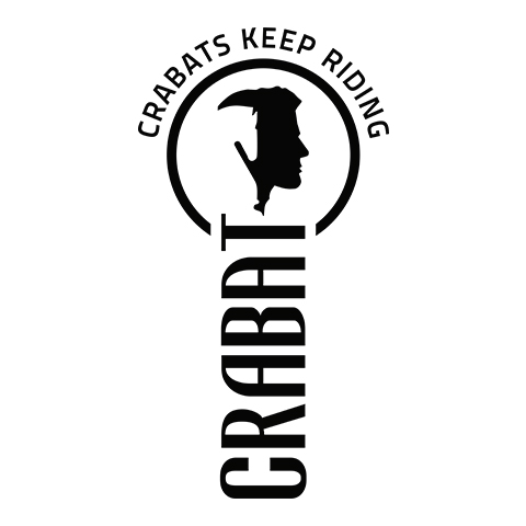 professional logo design pune