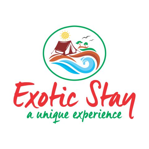 logo design pune