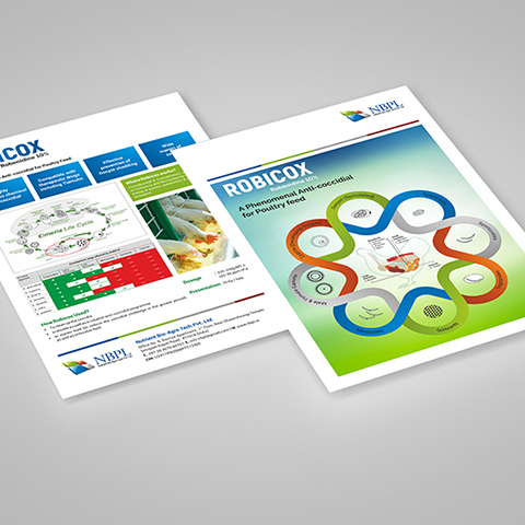 catalogue design firm