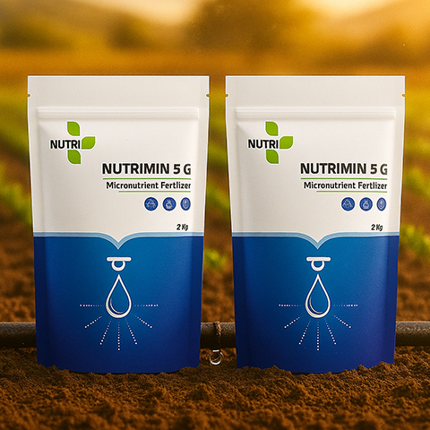 Packaing Design in Pune